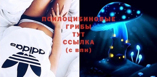 дживик Абинск