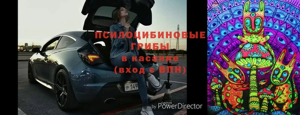дживик Абинск