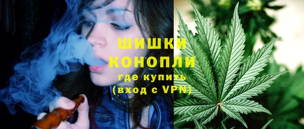 дживик Абинск