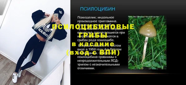 скорость Абаза