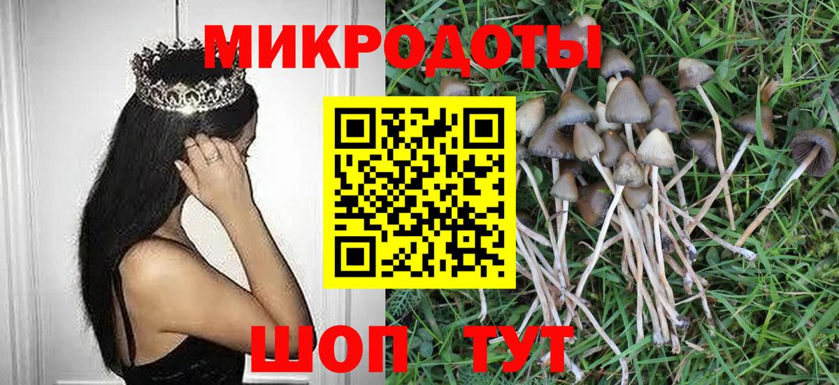Шебекино  Псилоцибиновые грибы прущие грибы  Галлюциногенные грибы Psilocybe  Вход с VPN 