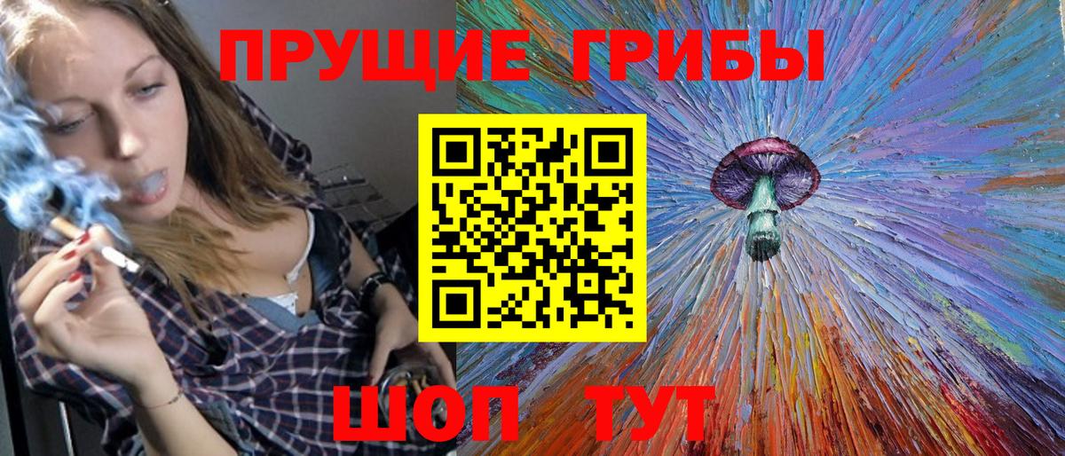 Псилоцибиновые грибы прущие грибы Шебекино